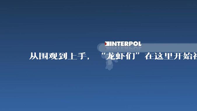 从围观到上手，“龙虾们”在这里开始社会化_用户_社交_平台
